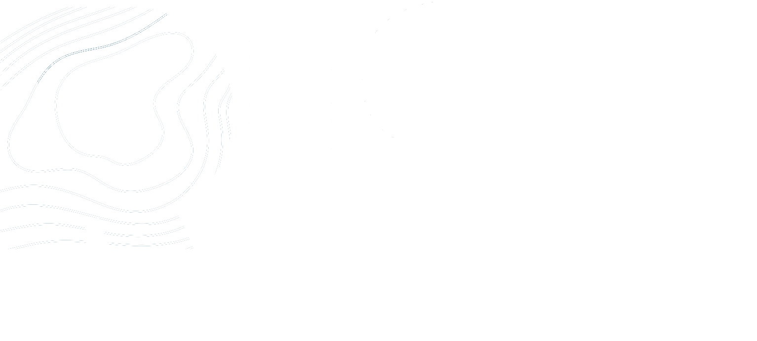 Rise Israel Logo